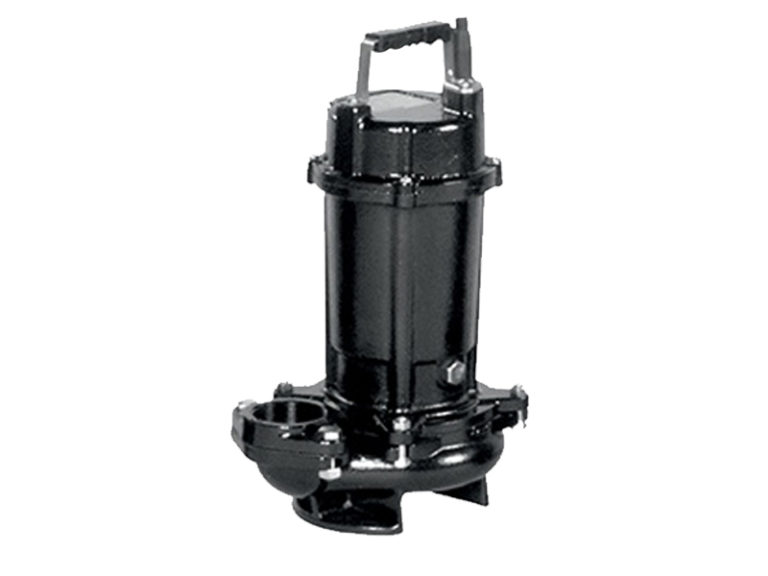 Model DVS Ebara (Thailand)